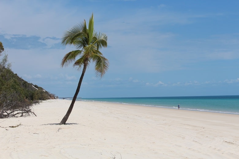  Fraser Island