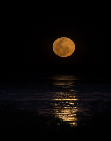 stairway-to-the-moon