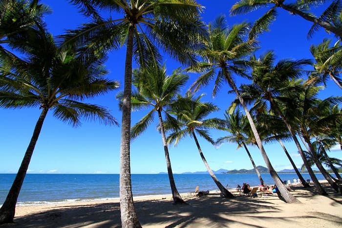 palm cove