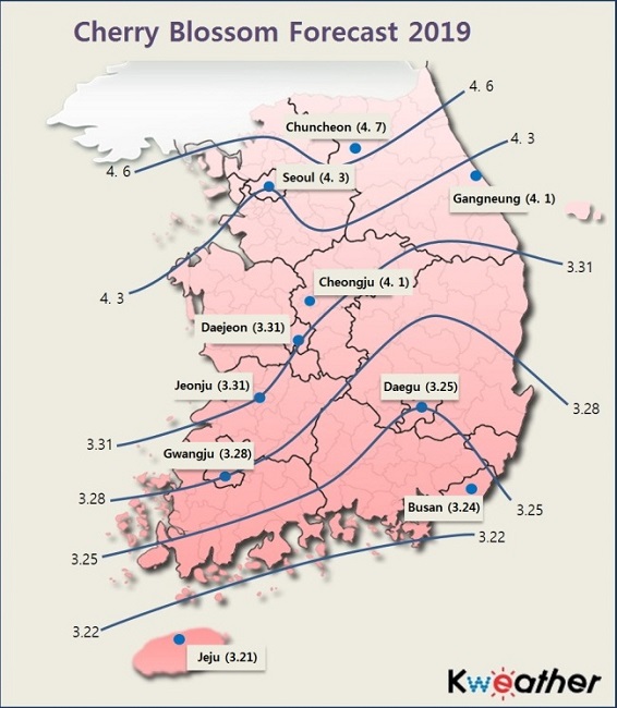 Cherry blossom forecast in Korea